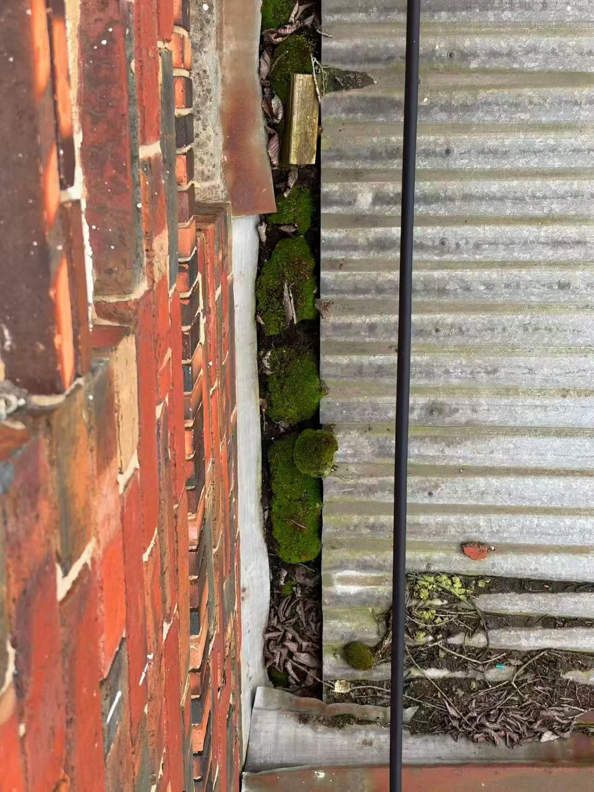 Leaves and moss in the gutter beside the wall before cleaning